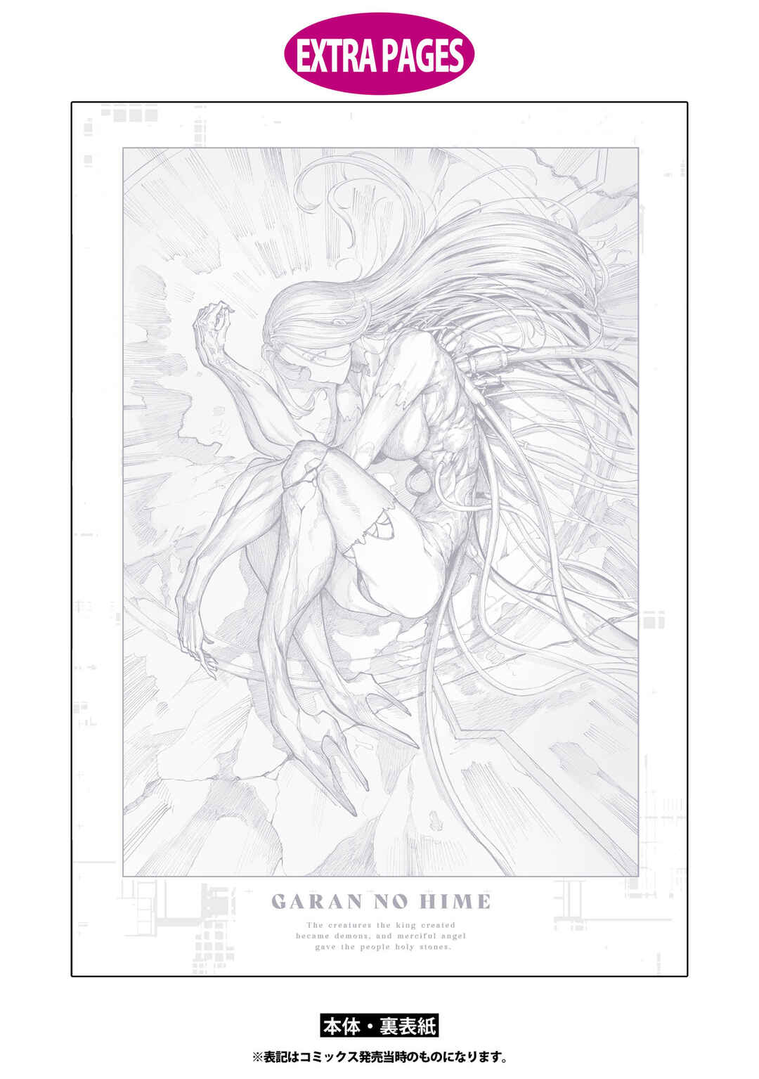 Page 10 Chapter 13.5 Garan no Hime