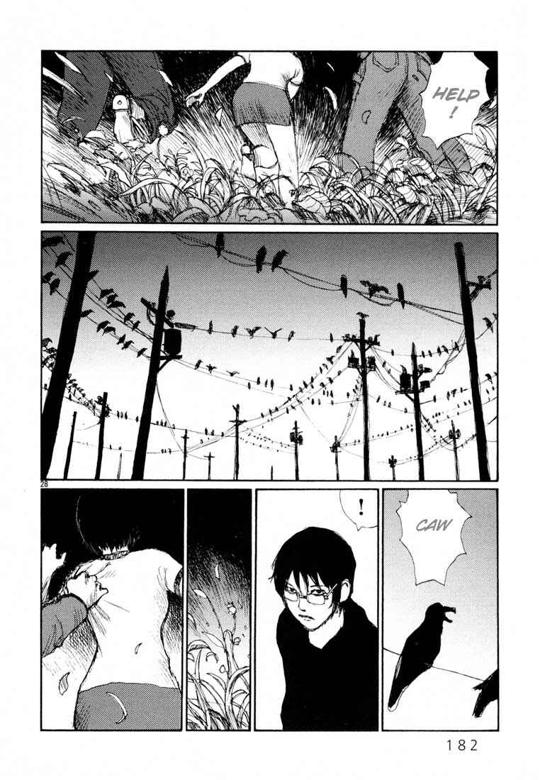 Page 28 Chapter 6 Freesia