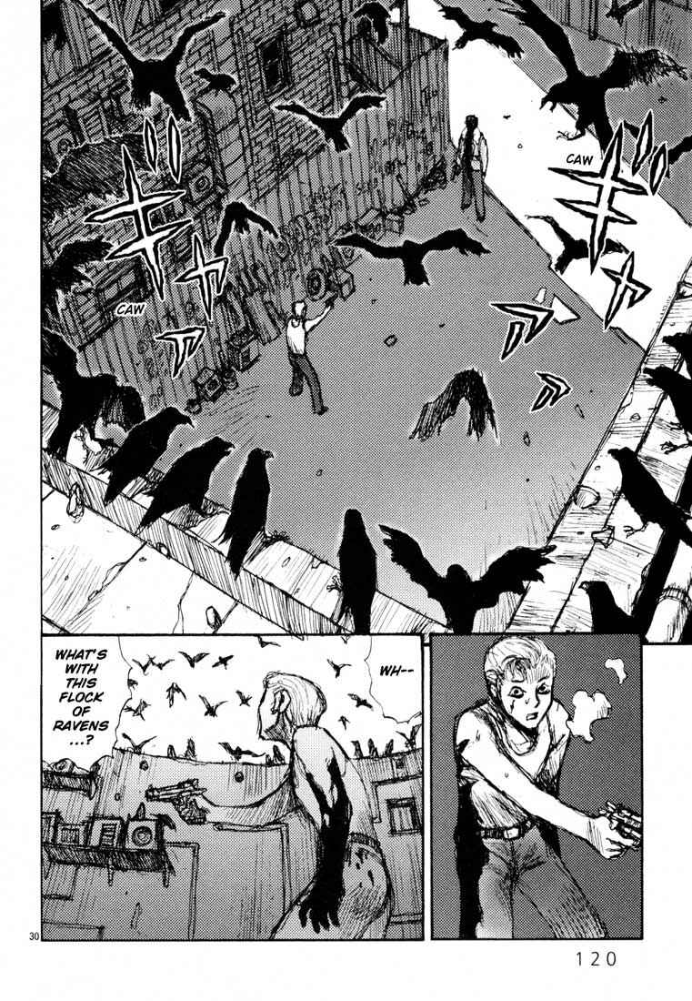 Page 29 Chapter 4 Freesia