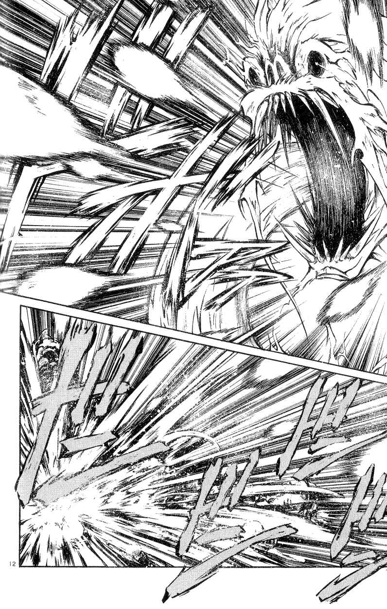 Page 11 Chapter 194 Flame of Recca