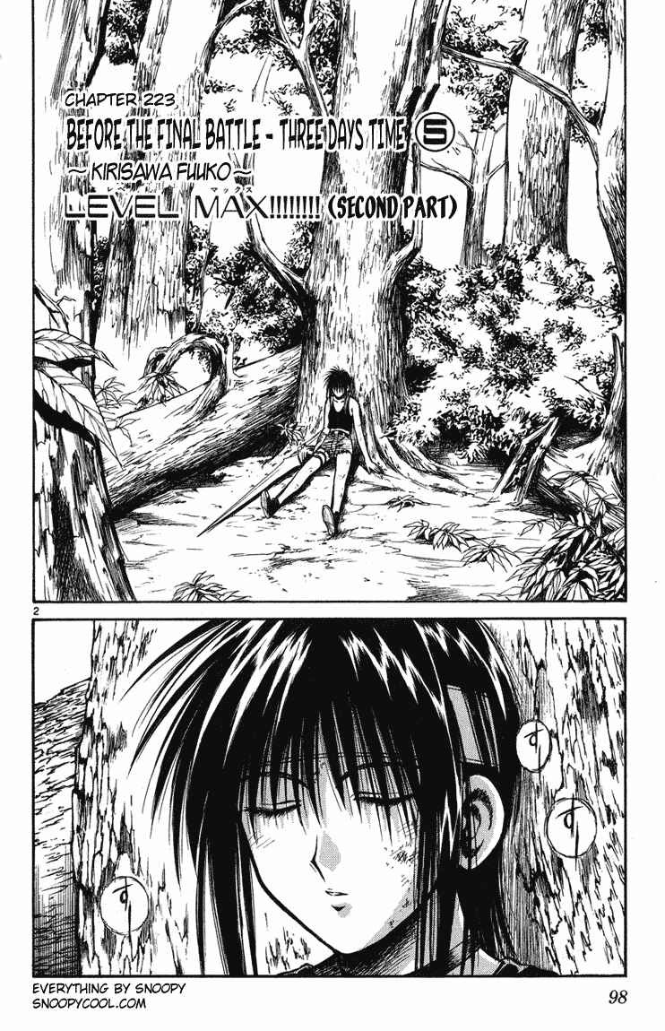 Page 2 Chapter 223 Flame of Recca