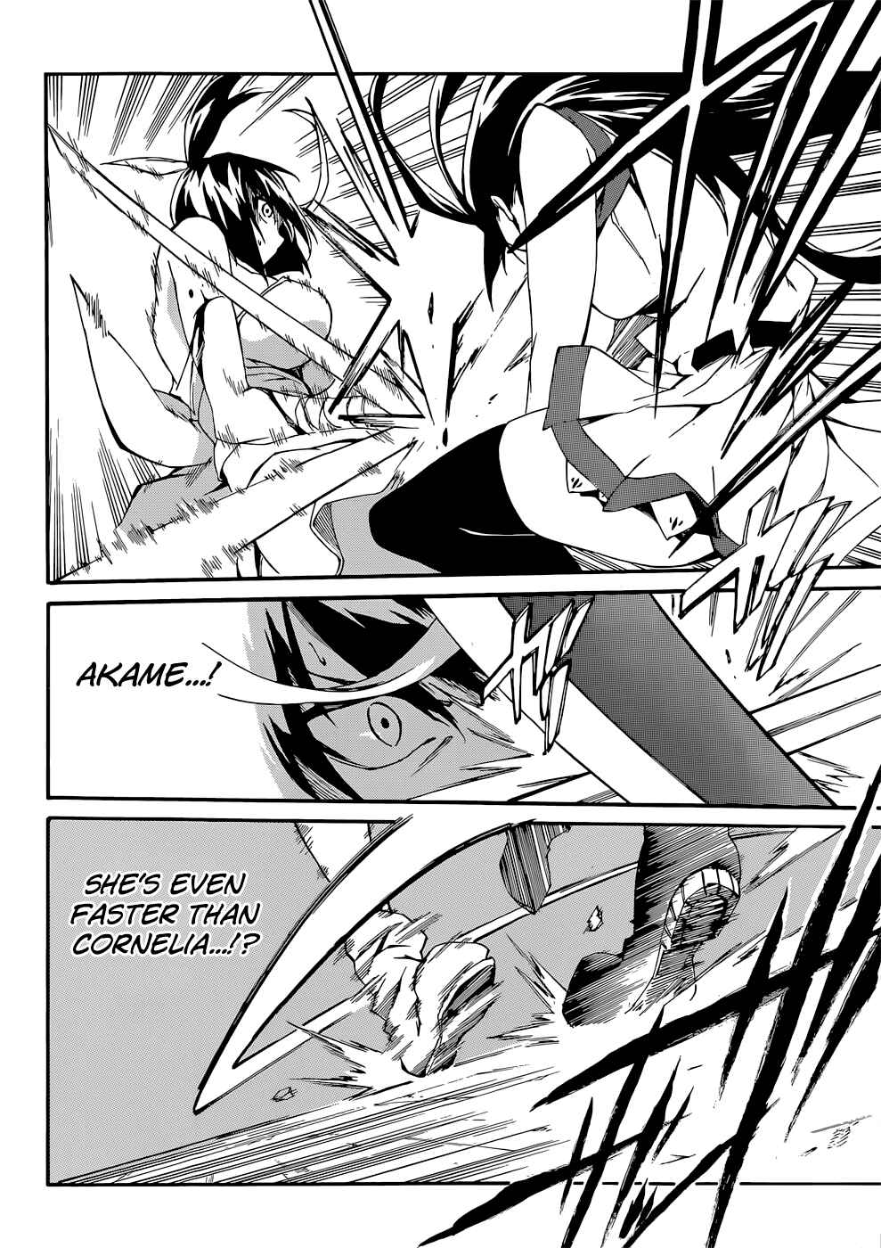 Page 14 Chapter 12 Akame ga KILL! Zero