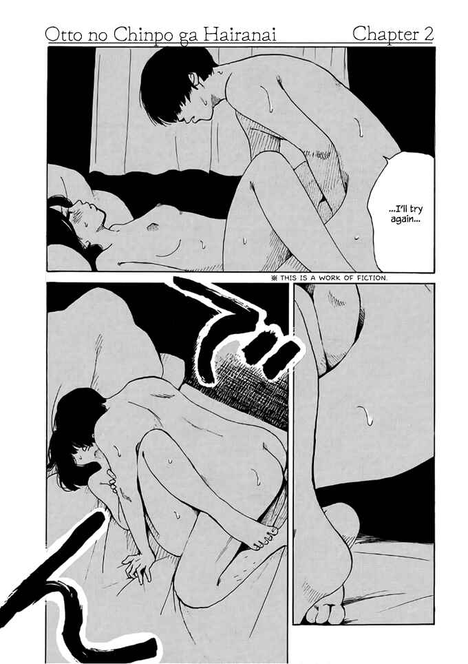 Page 3 Chapter 2 Otto no Chinpo ga Hairanai