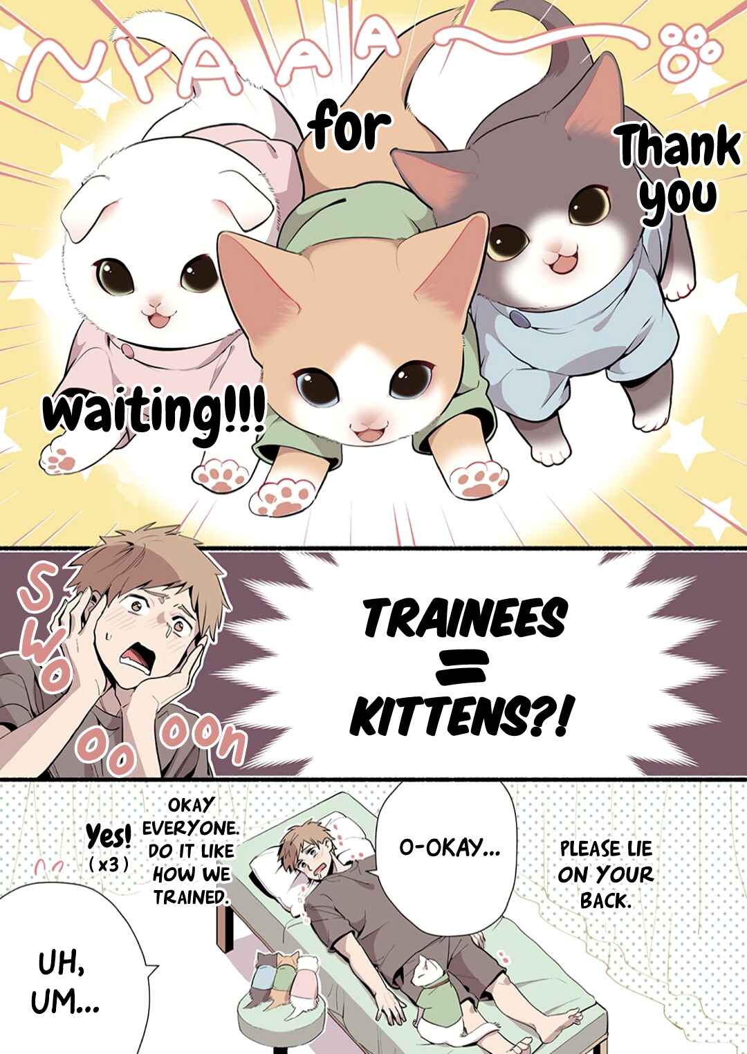 Page 5 Chapter 2 Cat Massage Therapy