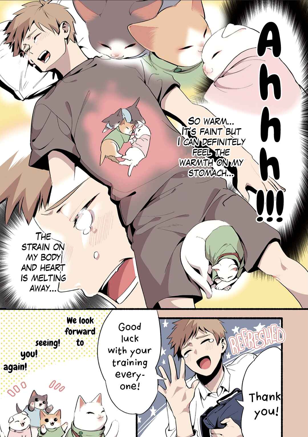 Page 6 Chapter 2 Cat Massage Therapy