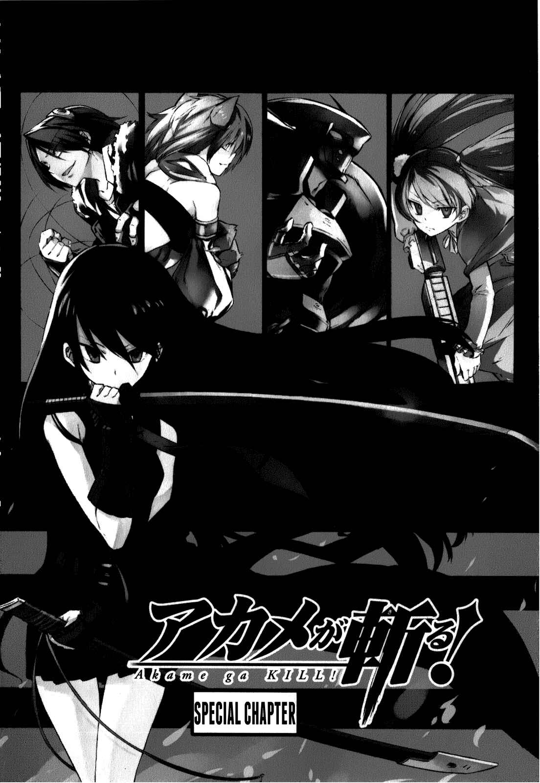 Page 4 Chapter 23.5 Akame ga KILL!