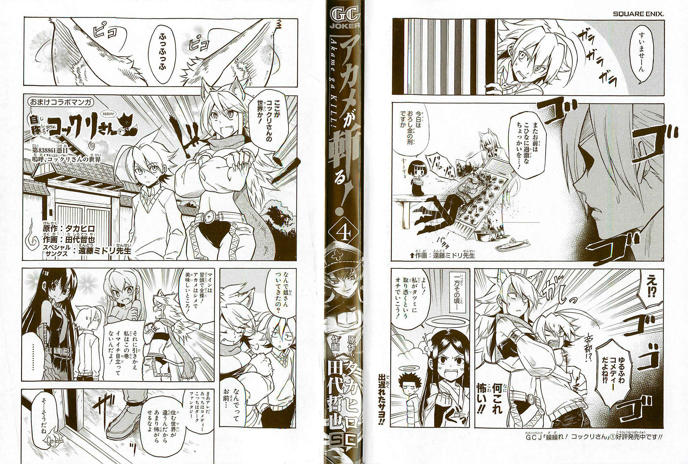 Page 2 Chapter 15 Akame ga KILL!