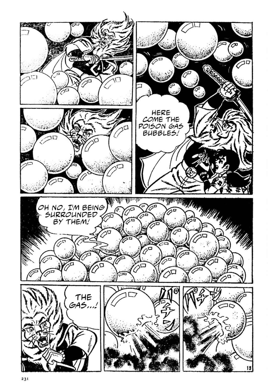 Page 13 Chapter 14 The Vigilant Lionmaru