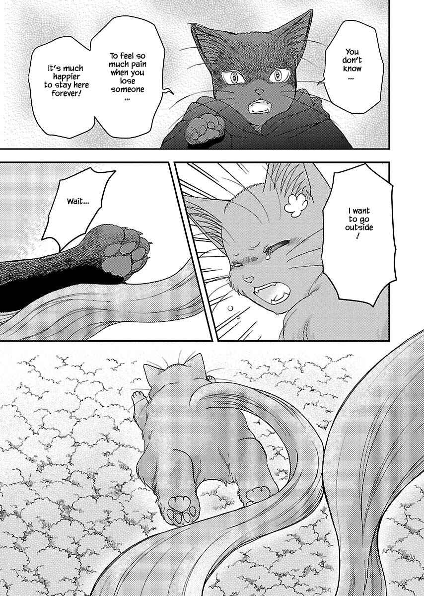 Page 20 Chapter 3 Grimm Fairy Tales - Rapunzel That Was Really a Cat