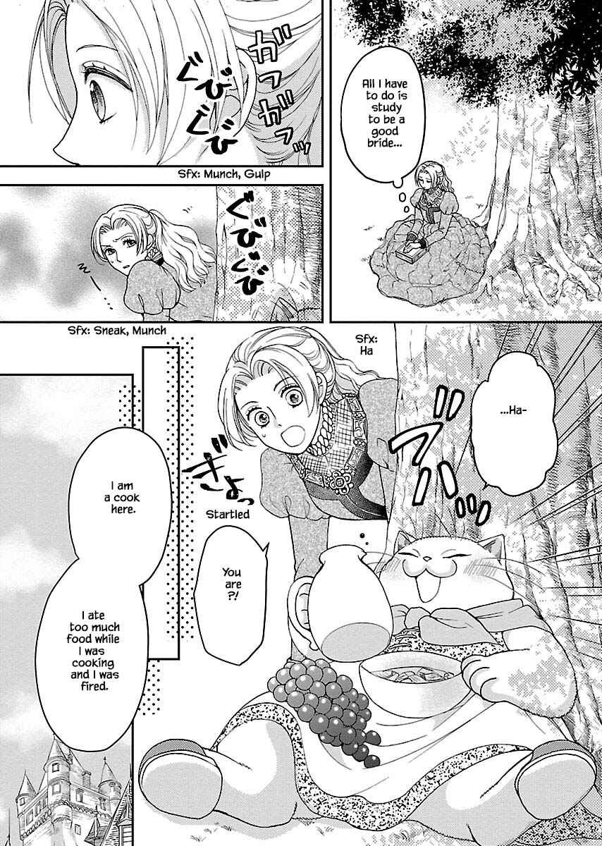 Page 12 Chapter 5 Grimm Fairy Tales - Rapunzel That Was Really a Cat