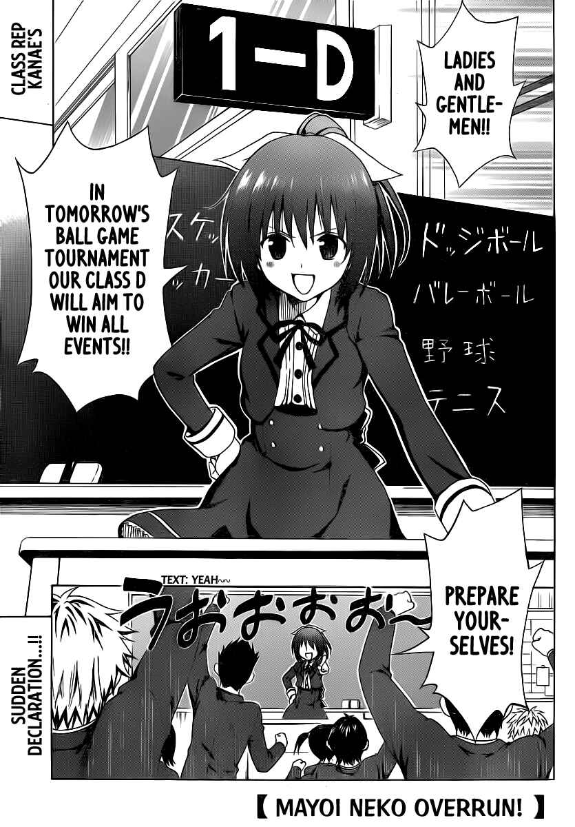 Page 4 Chapter 10 Mayoi Neko Overrun!