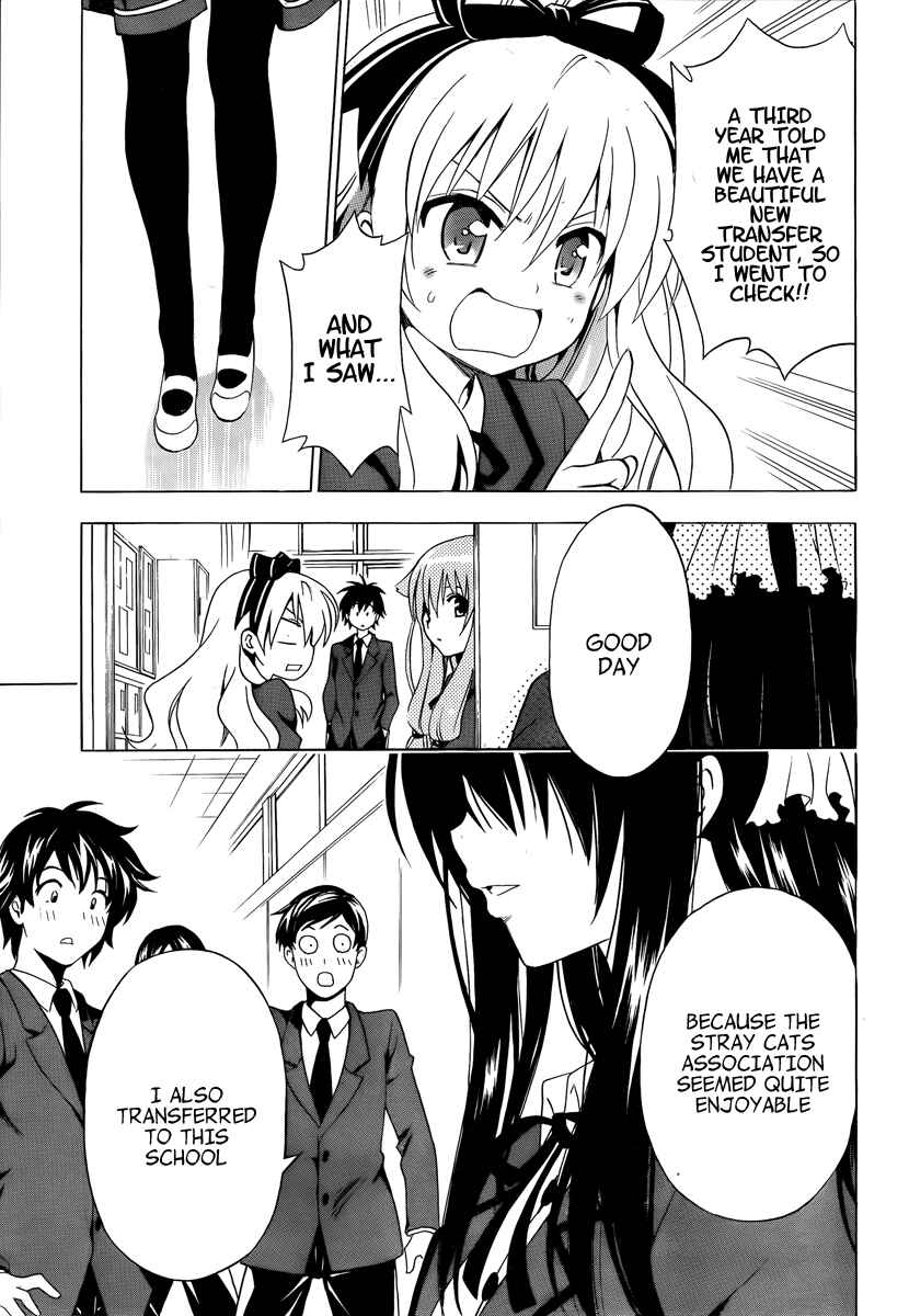 Page 41 Chapter 8 Mayoi Neko Overrun!