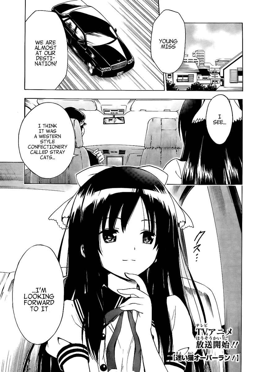 Page 4 Chapter 4 Mayoi Neko Overrun!