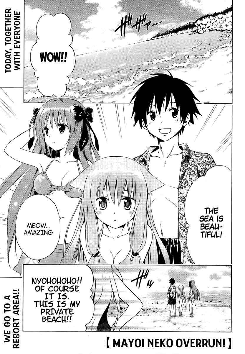 Page 19 Chapter 5 Mayoi Neko Overrun!