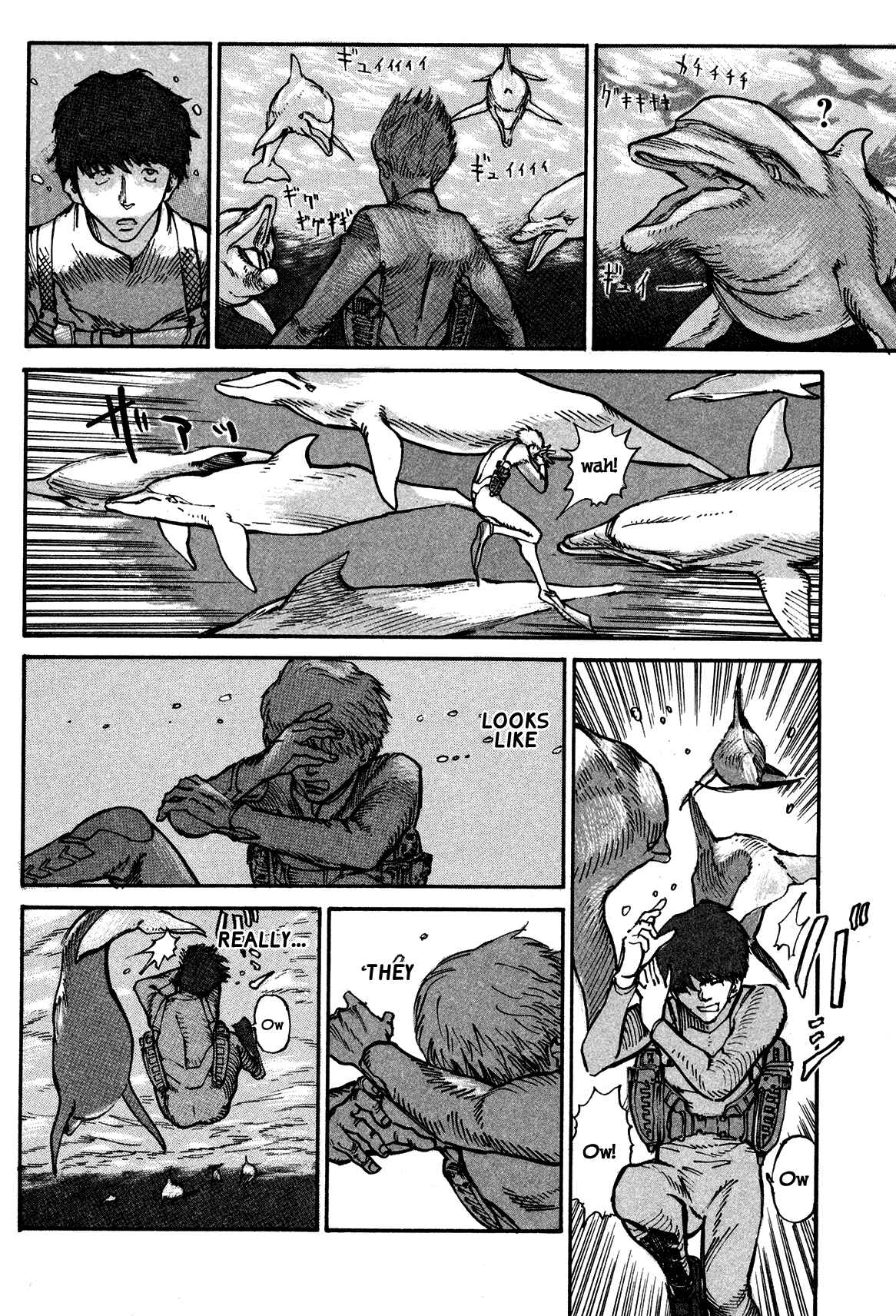Page 34 Chapter 3 nacuN