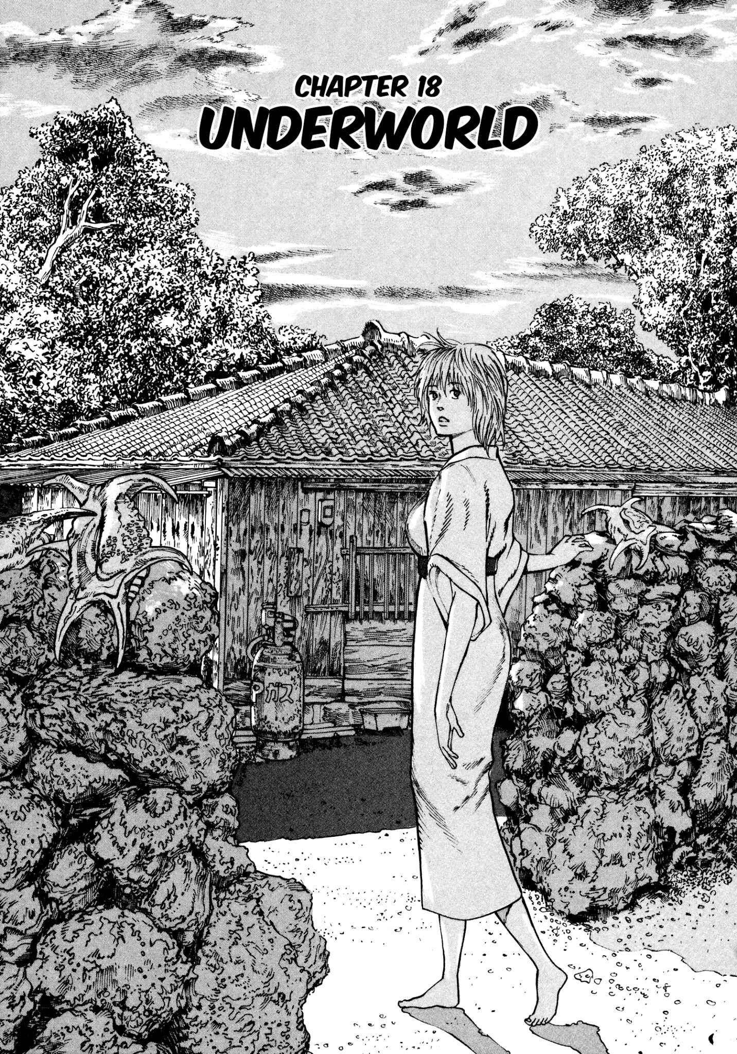 Page 1 Chapter 18 nacuN
