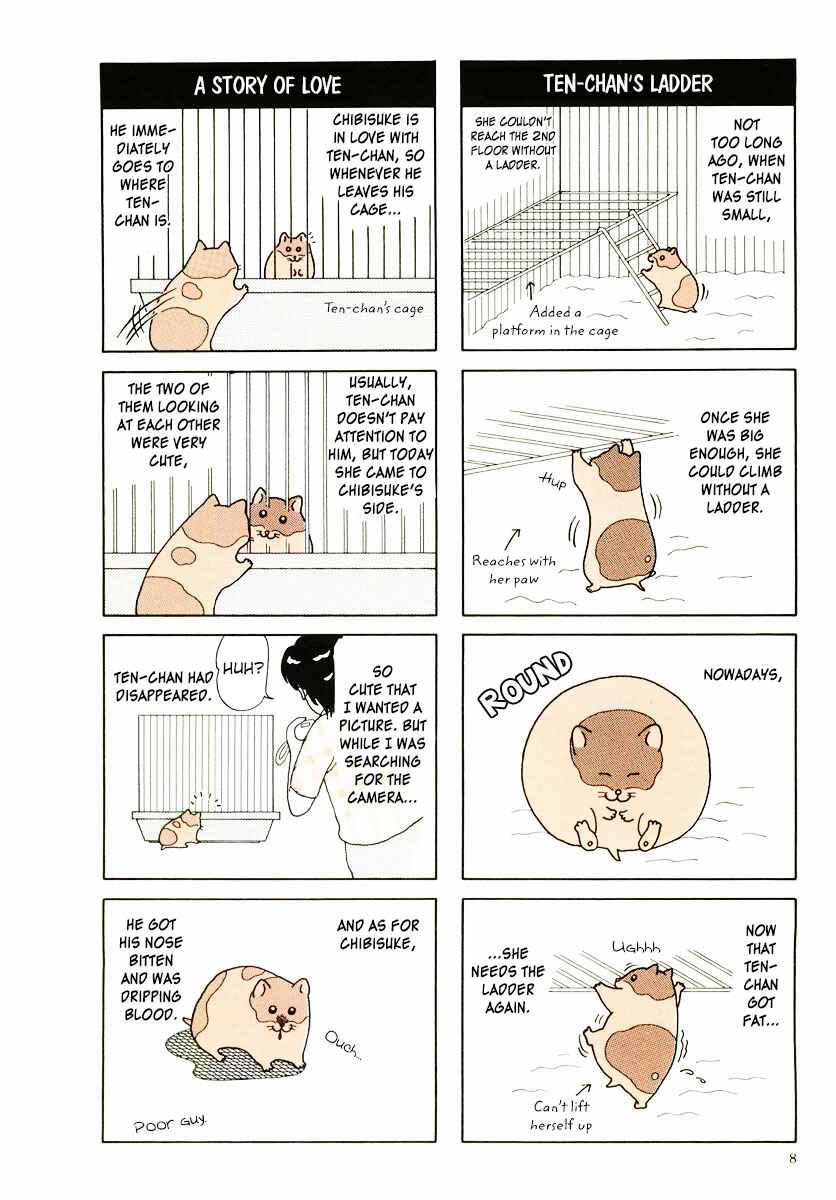 Page 11 Chapter 9 Hamster Research Report