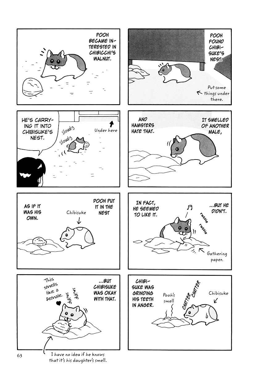 Page 12 Chapter 32 Hamster Research Report