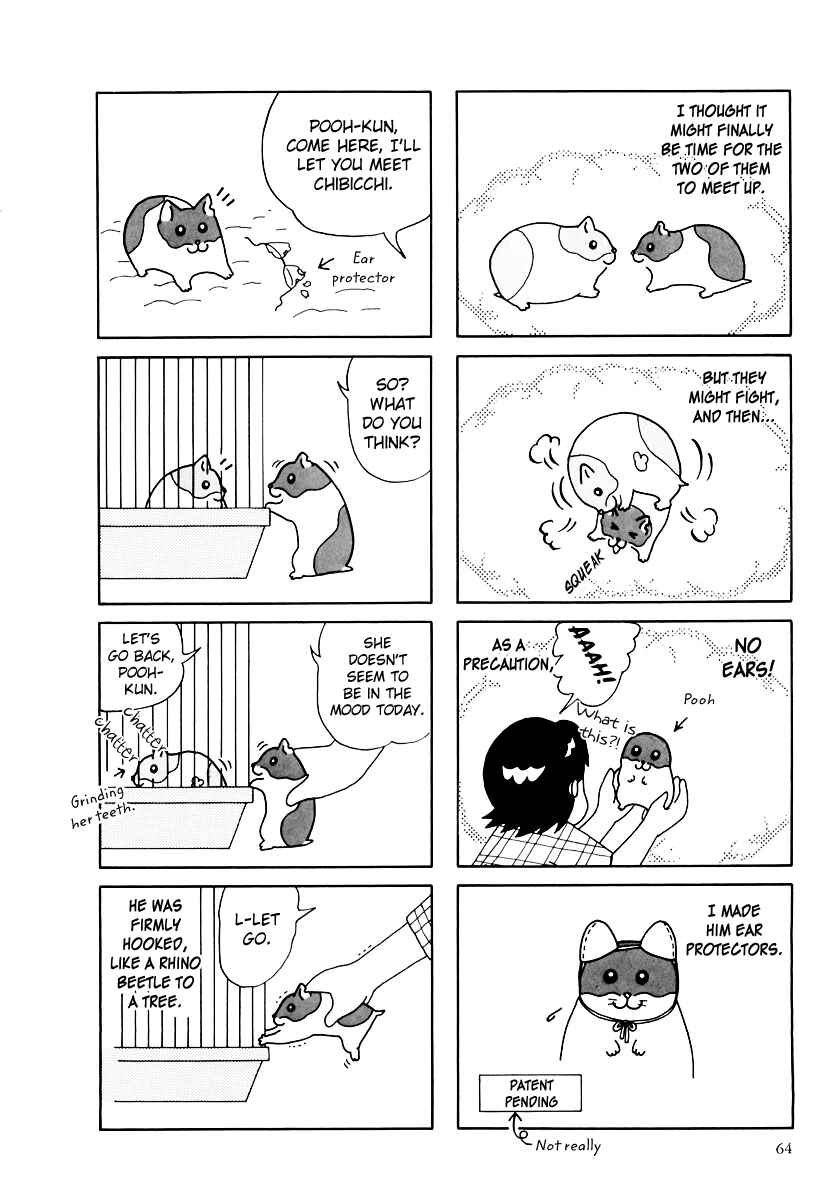 Page 13 Chapter 32 Hamster Research Report
