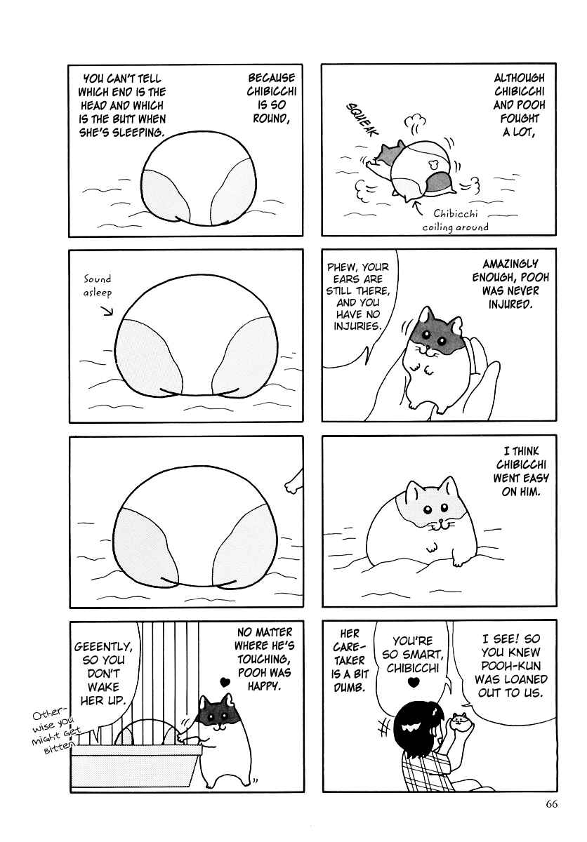 Page 15 Chapter 32 Hamster Research Report