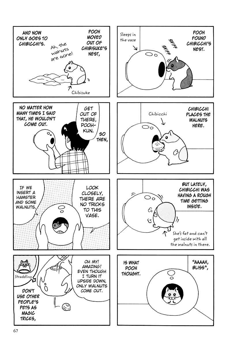 Page 16 Chapter 32 Hamster Research Report
