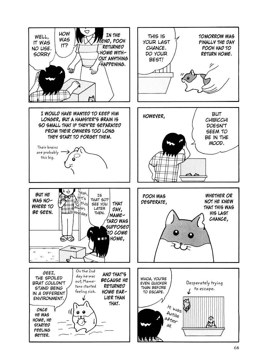 Page 17 Chapter 32 Hamster Research Report