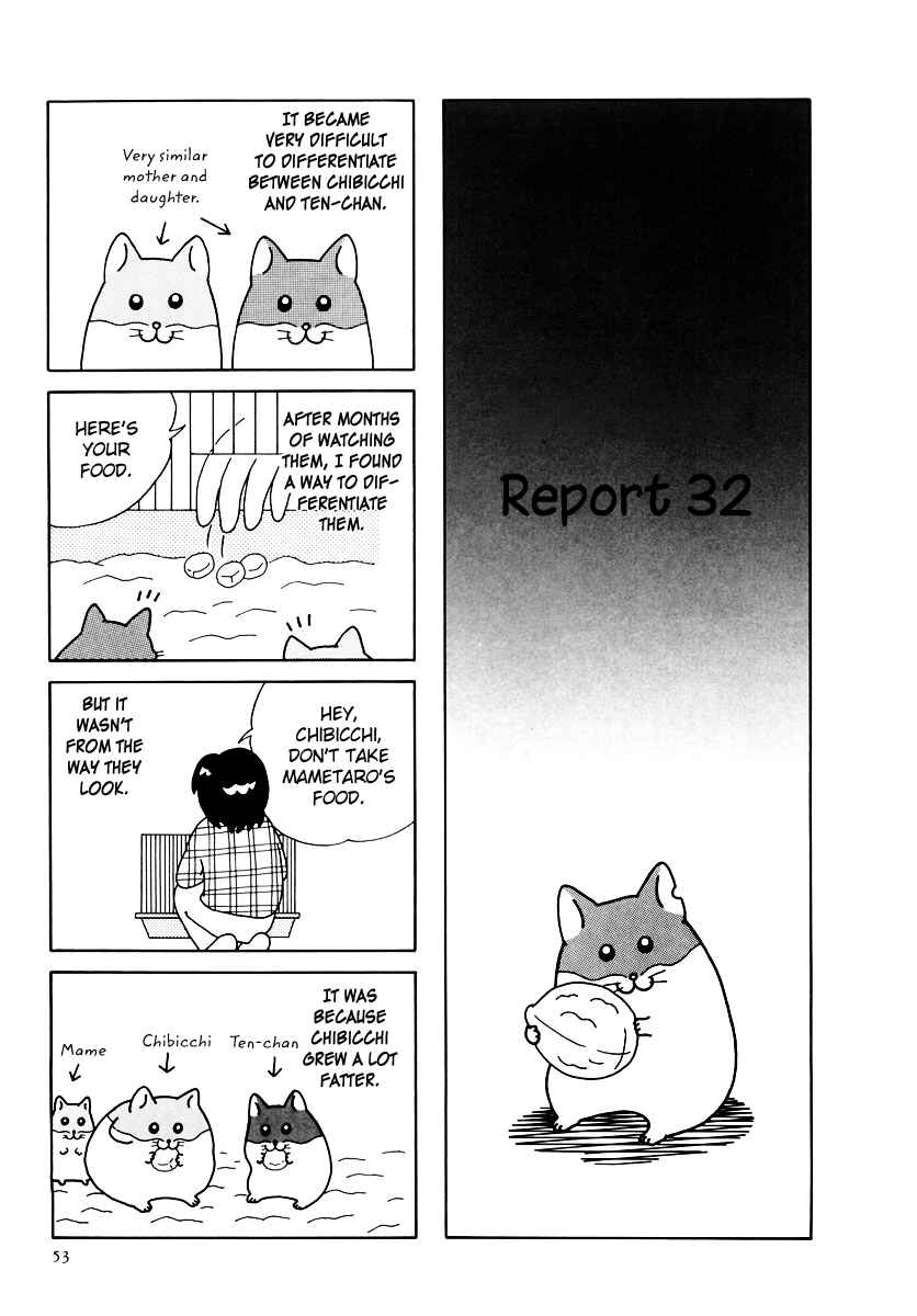 Page 2 Chapter 32 Hamster Research Report