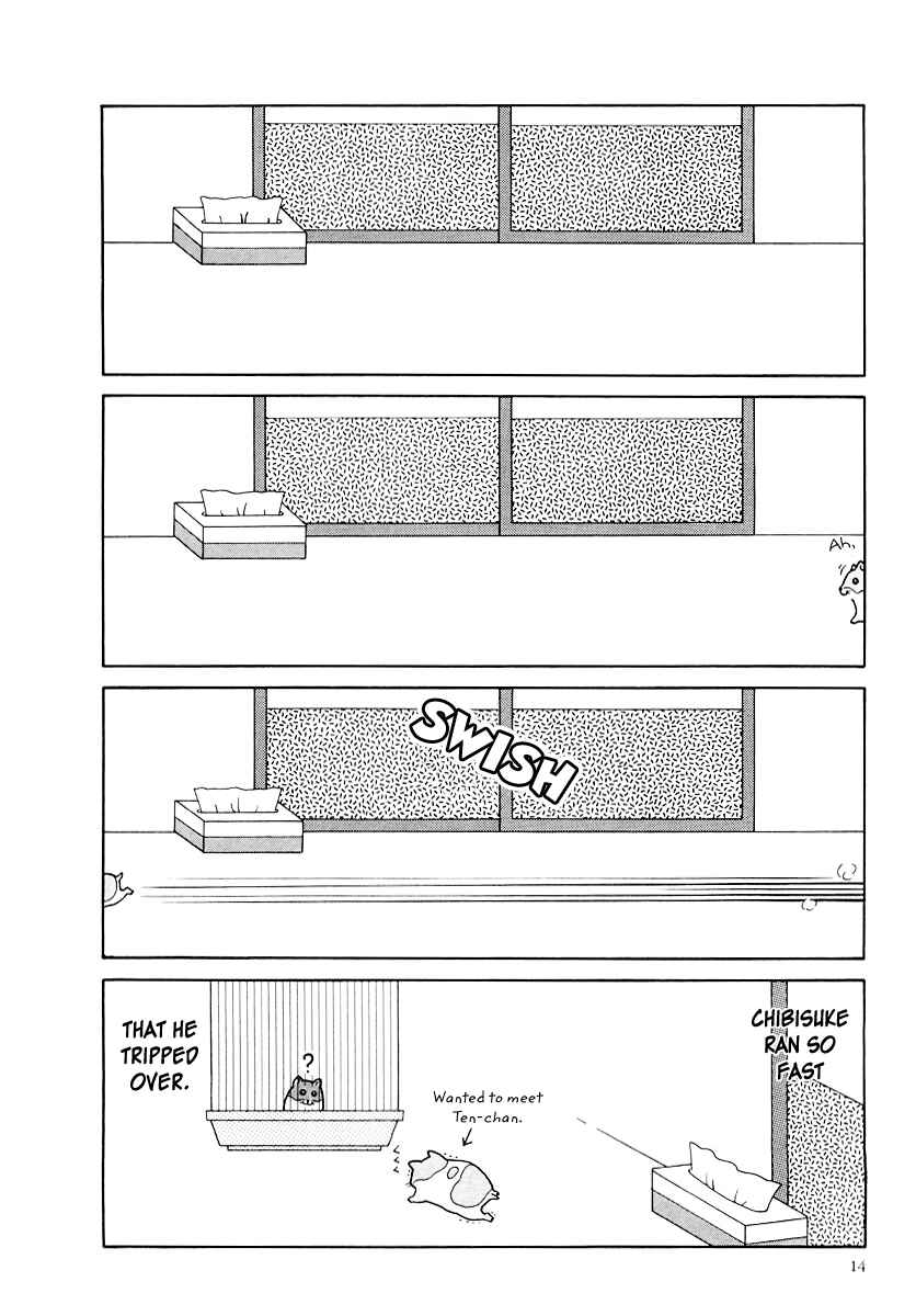 Page 2 Chapter 22 Hamster Research Report
