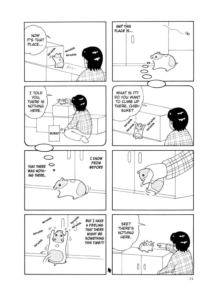 Page 4 Chapter 23 Hamster Research Report