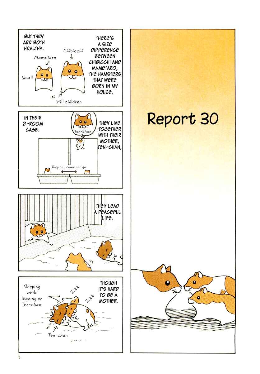 Page 8 Chapter 29 Hamster Research Report