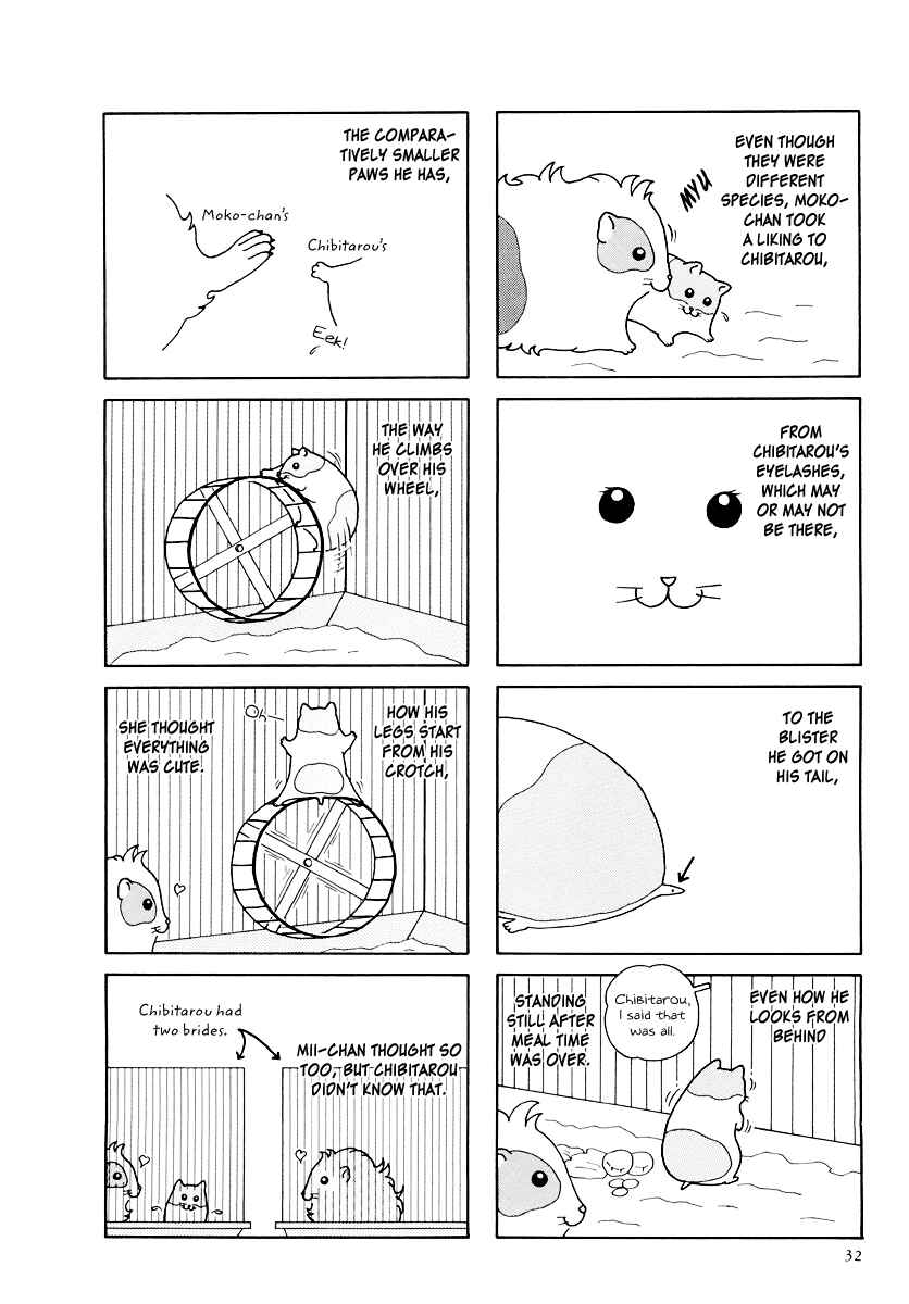 Page 2 Chapter 15 Hamster Research Report