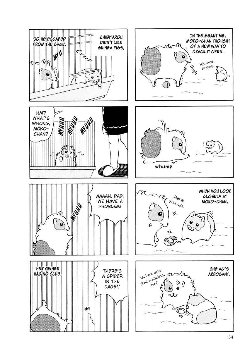 Page 4 Chapter 15 Hamster Research Report