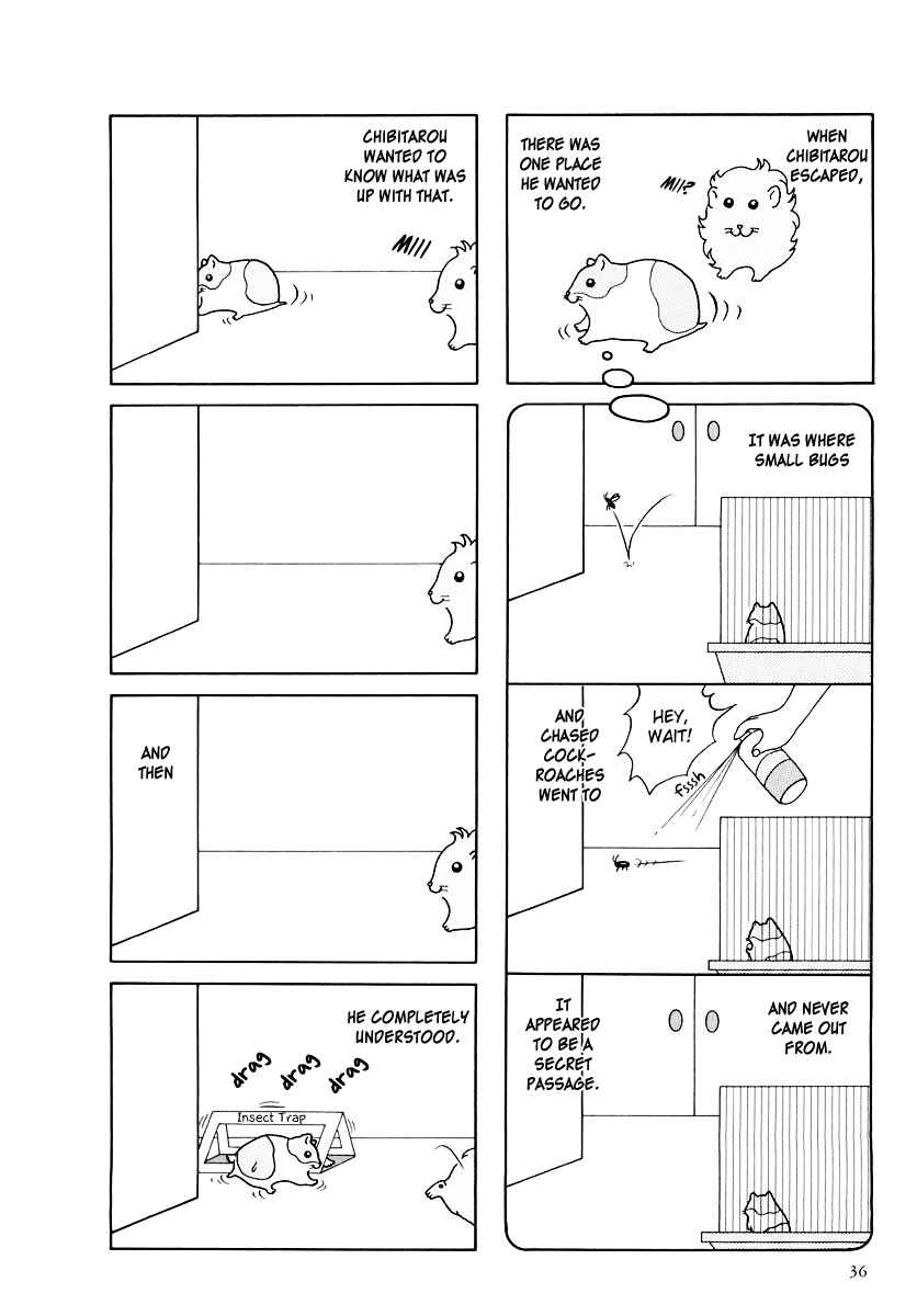 Page 6 Chapter 15 Hamster Research Report