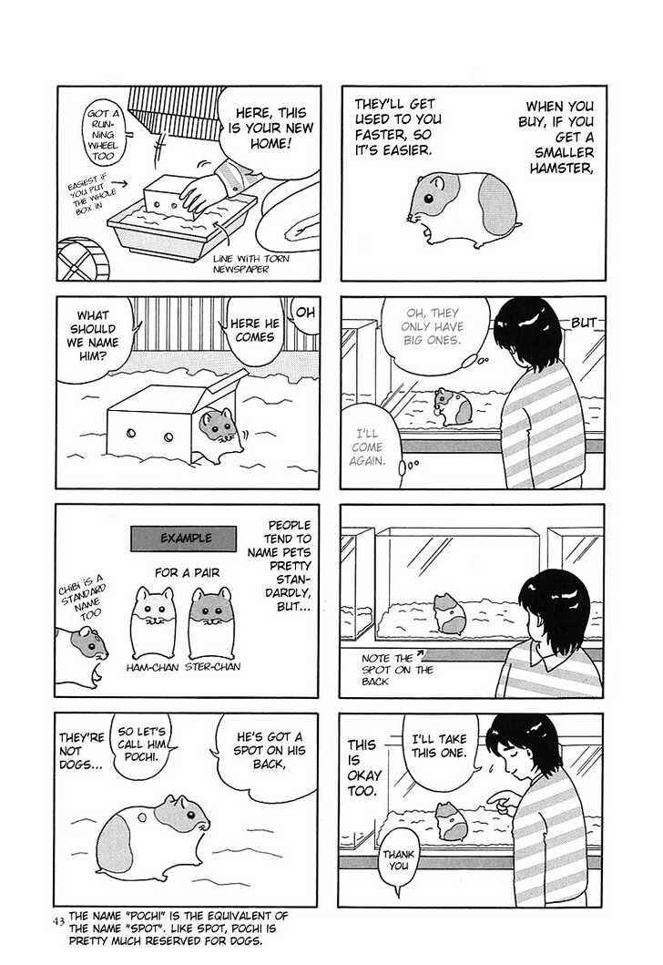 Page 2 Chapter 5 Hamster Research Report
