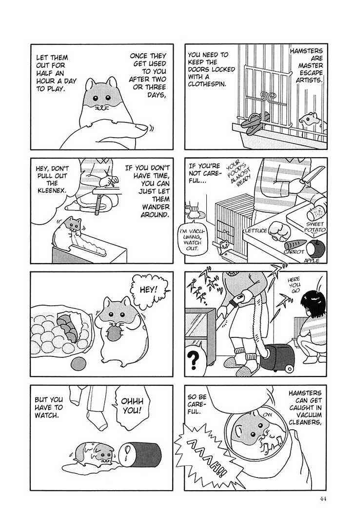 Page 3 Chapter 5 Hamster Research Report