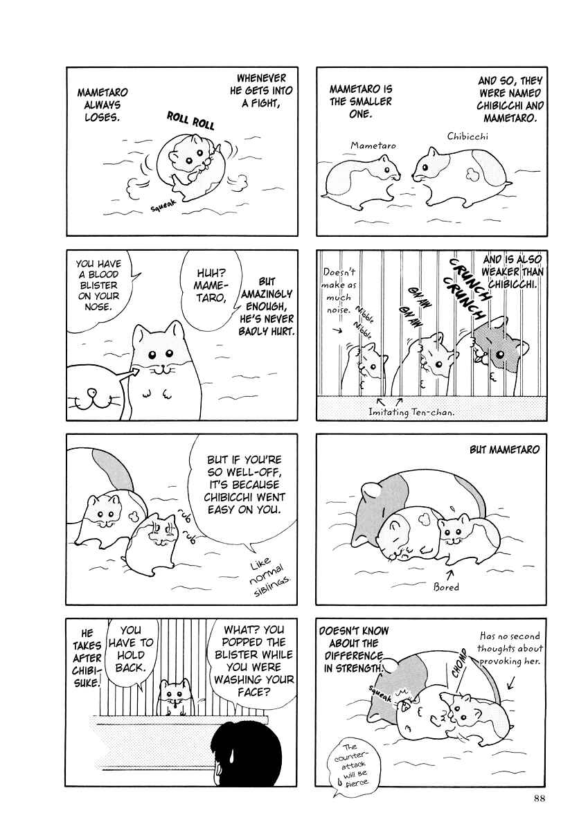 Page 12 Chapter 27 Hamster Research Report