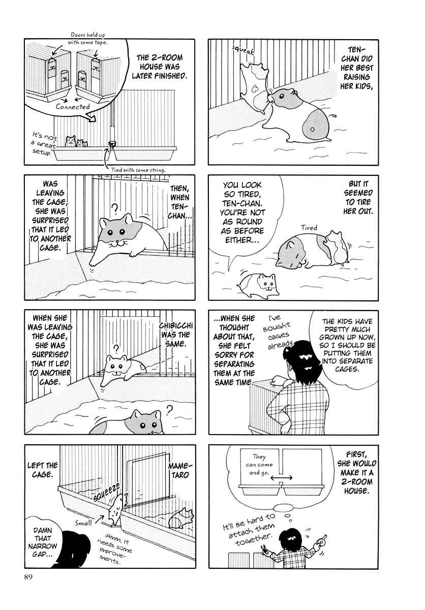 Page 13 Chapter 27 Hamster Research Report