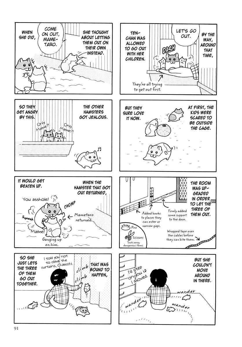 Page 15 Chapter 27 Hamster Research Report