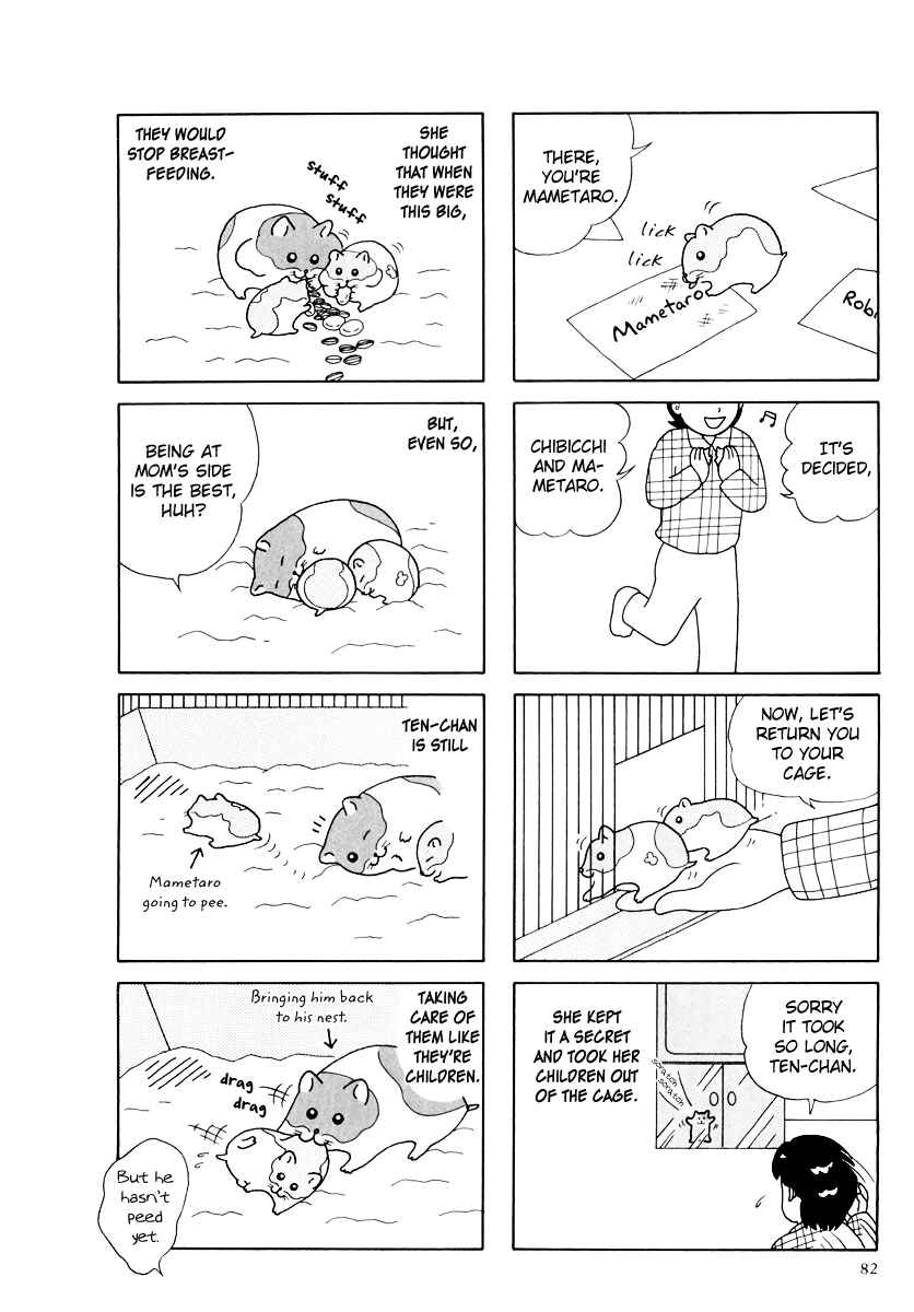 Page 6 Chapter 27 Hamster Research Report