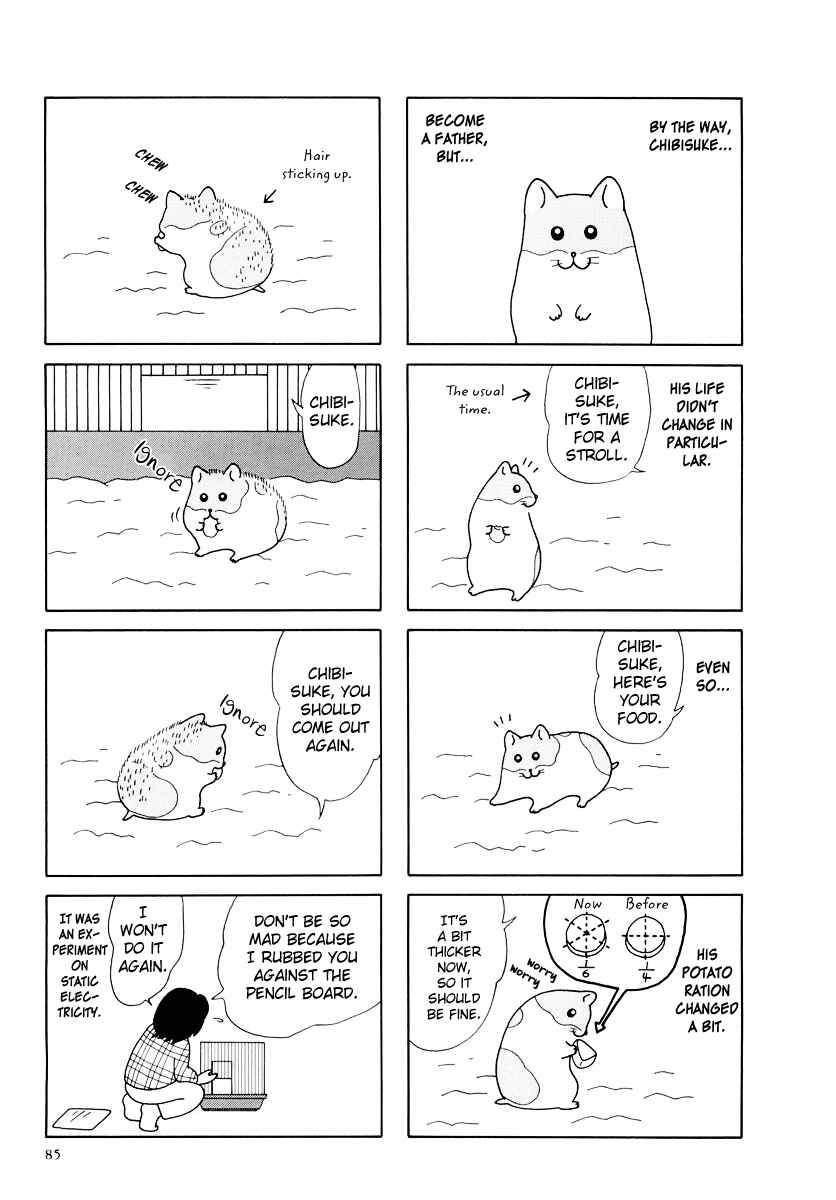 Page 9 Chapter 27 Hamster Research Report