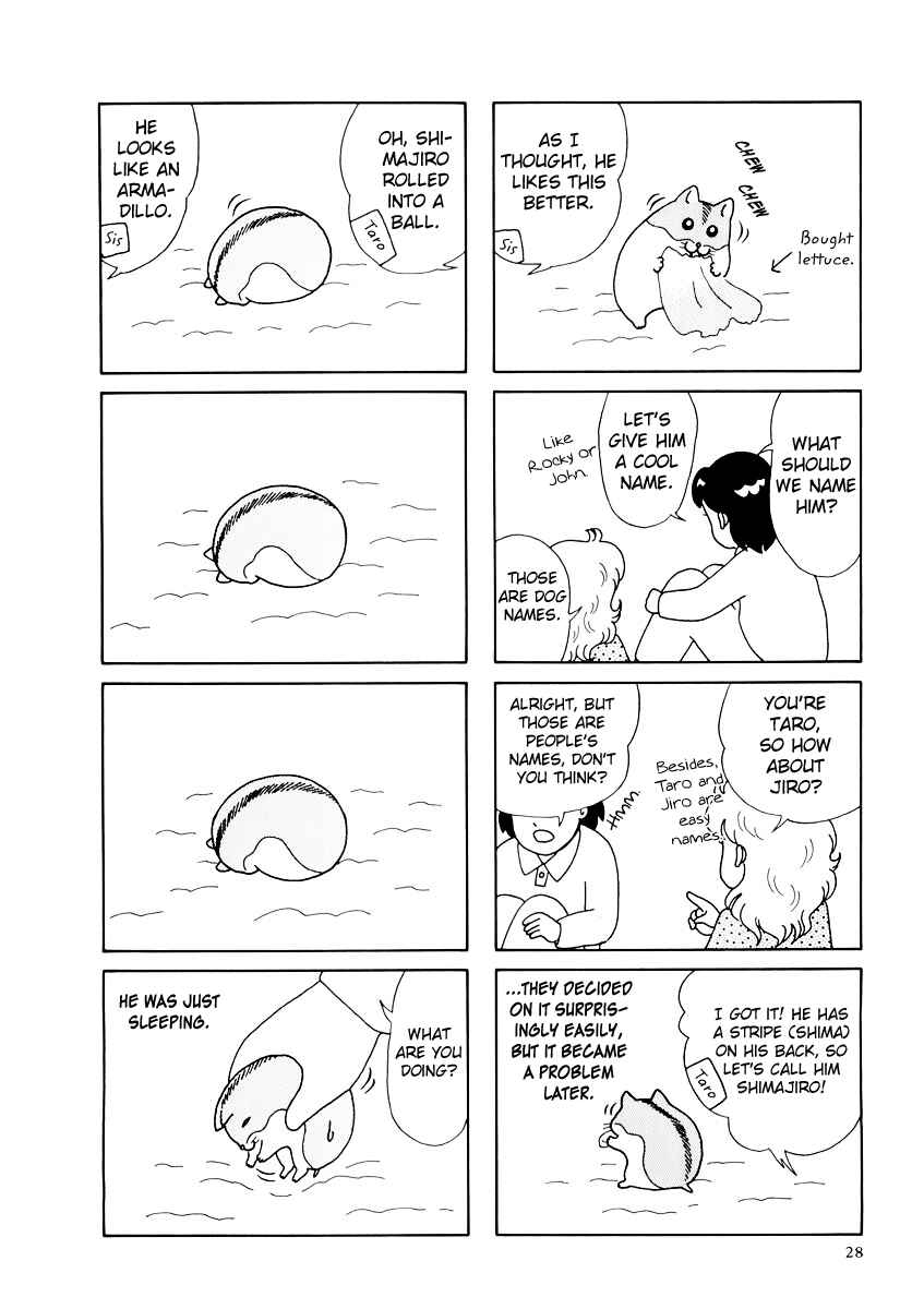 Page 8 Chapter 30 Hamster Research Report