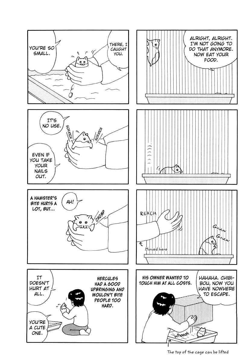 Page 4 Chapter 19 Hamster Research Report