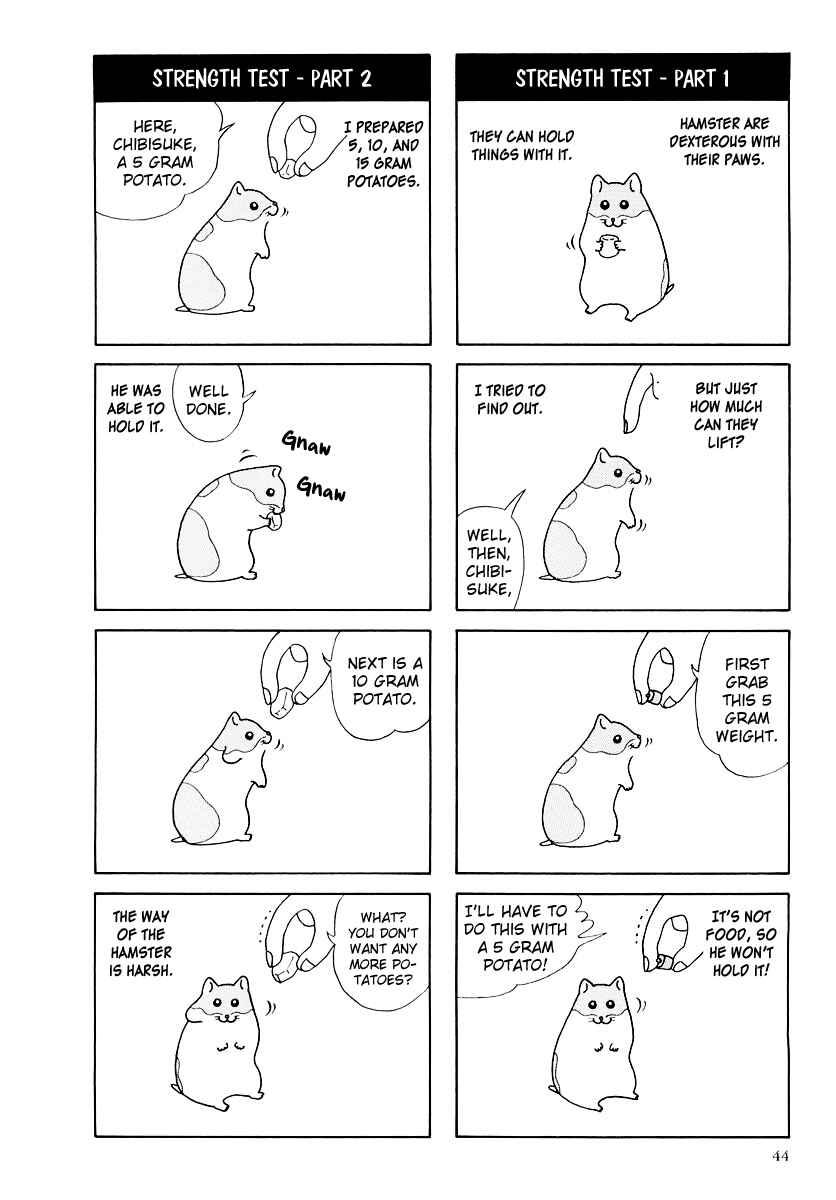 Page 6 Chapter 16 Hamster Research Report