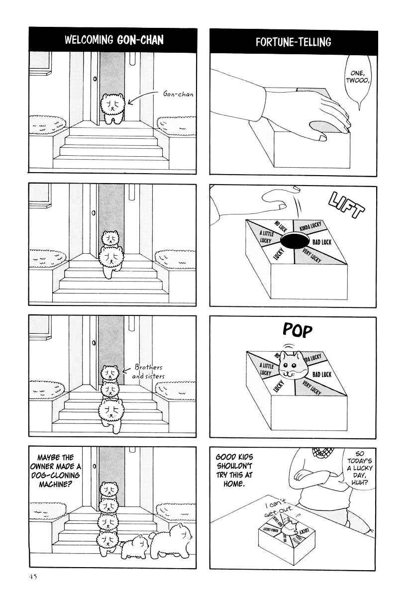 Page 7 Chapter 16 Hamster Research Report