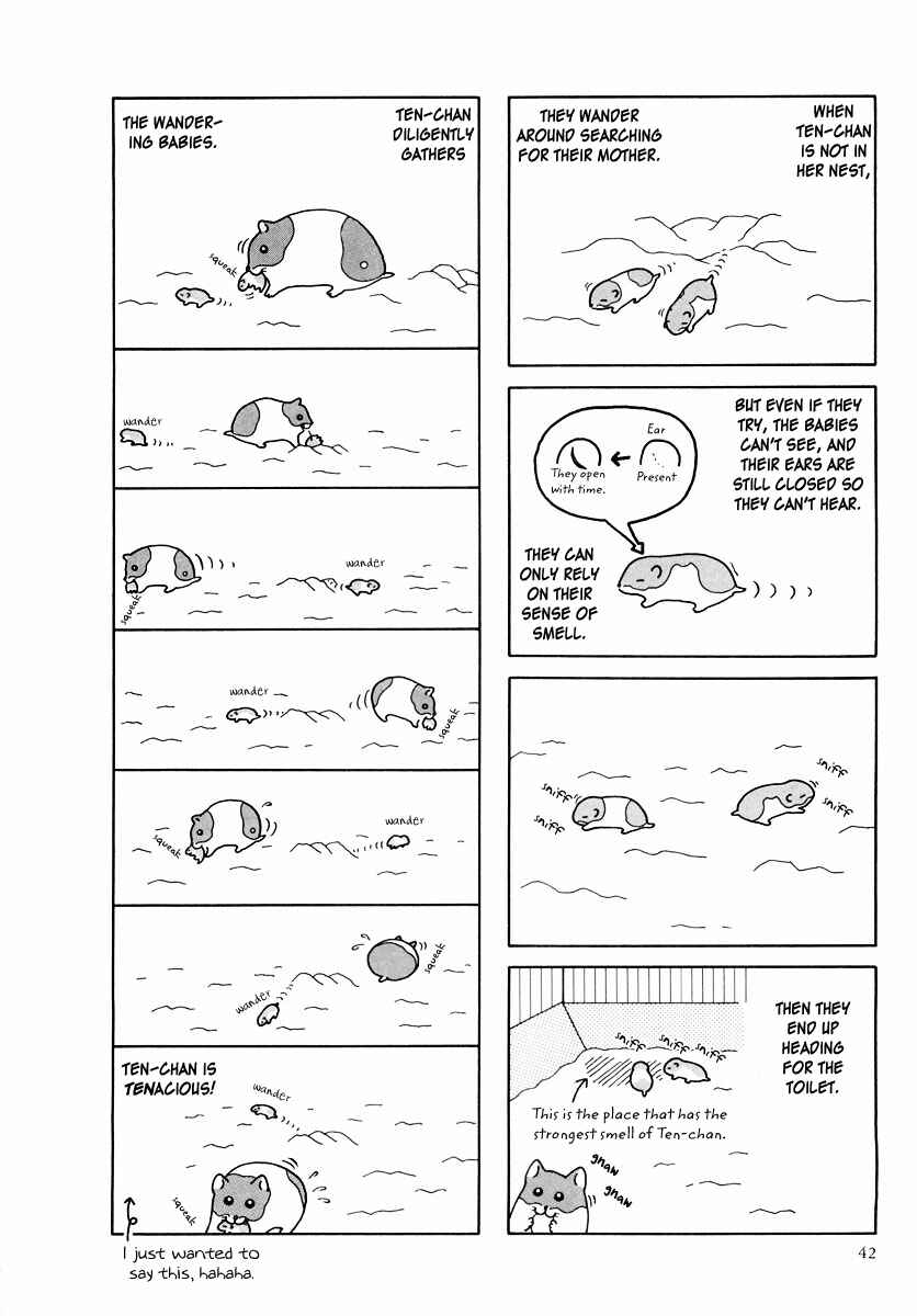 Page 14 Chapter 24 Hamster Research Report