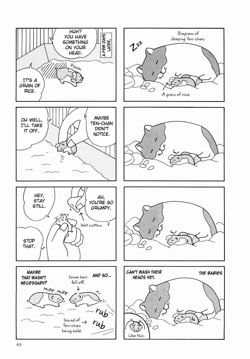 Page 15 Chapter 24 Hamster Research Report