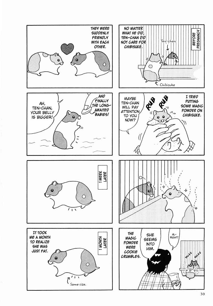 Page 2 Chapter 24 Hamster Research Report