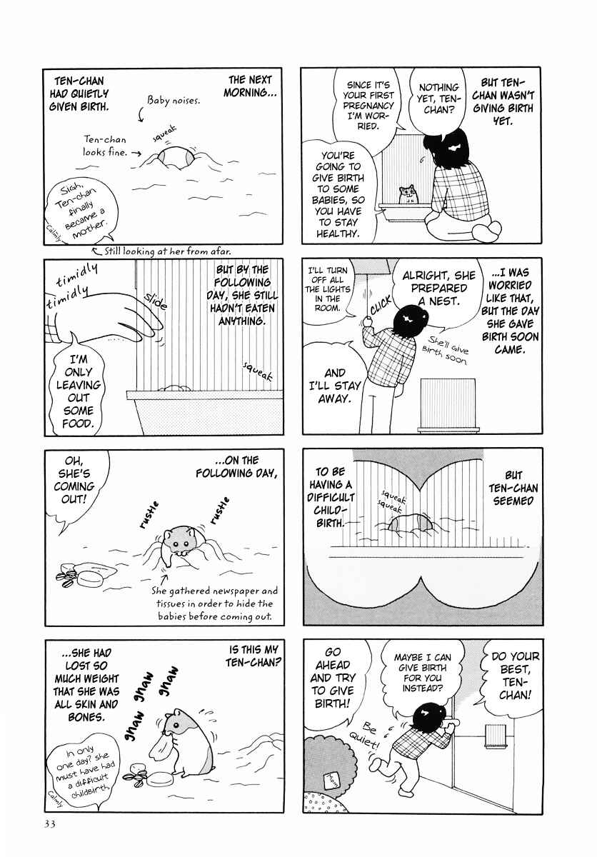 Page 5 Chapter 24 Hamster Research Report