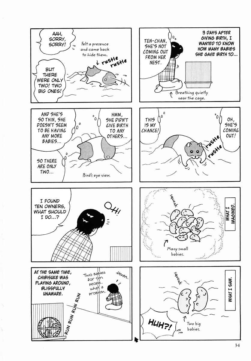 Page 6 Chapter 24 Hamster Research Report
