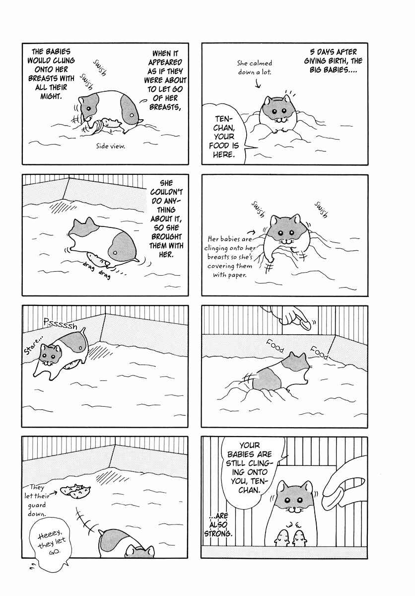 Page 7 Chapter 24 Hamster Research Report